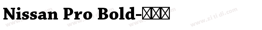 Nissan Pro Bold字体转换